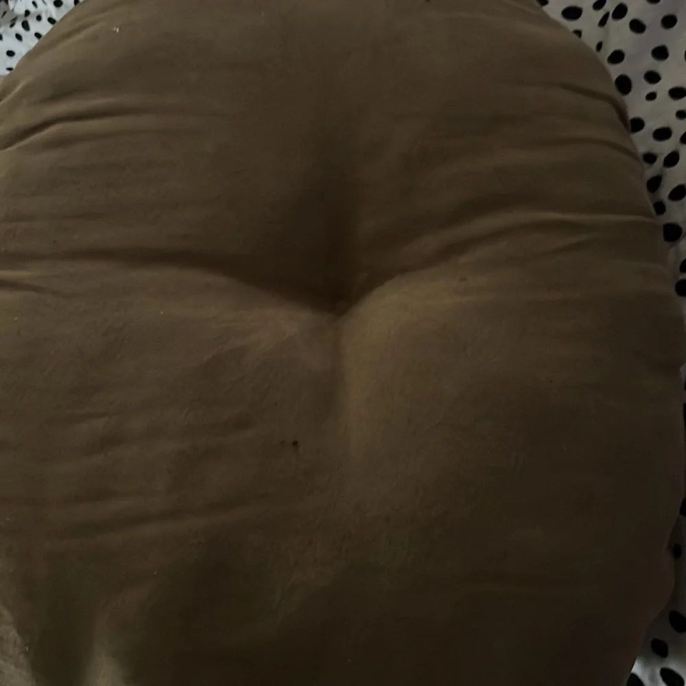 Kitten bed